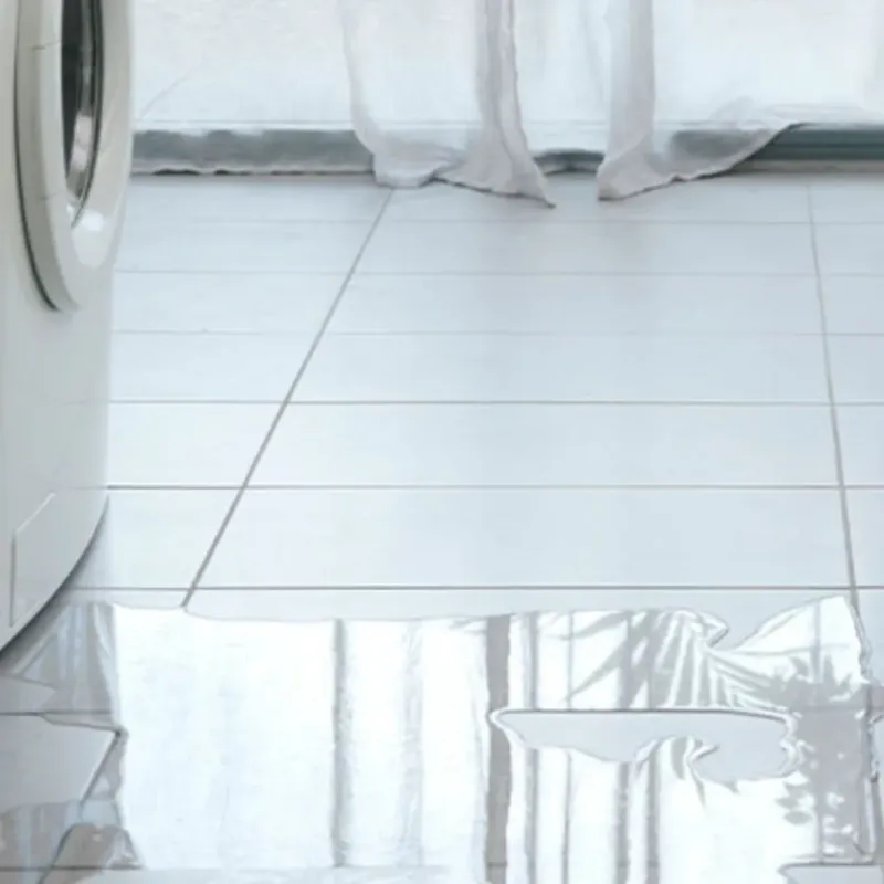 Appliance Leak Cleanup in Shelbyville, IL