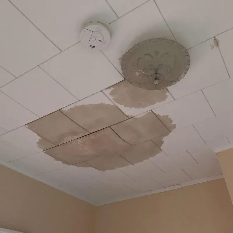 Ceiling Water Damage Repair in Shelbyville, IL