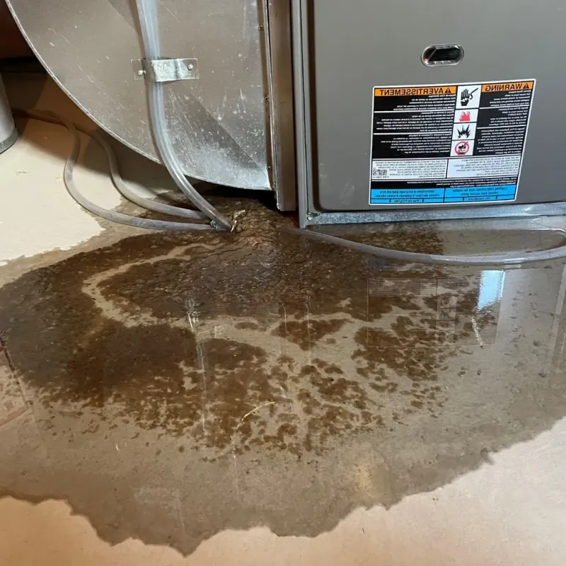 Pipe Burst and Leak Restoration in Shelbyville, IL
