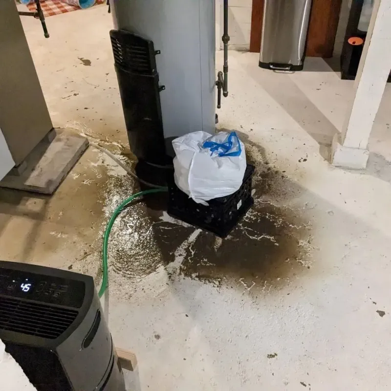 Sewage Backup Cleanup Service in Shelbyville, IL